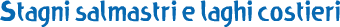 caratteristiche fisiche